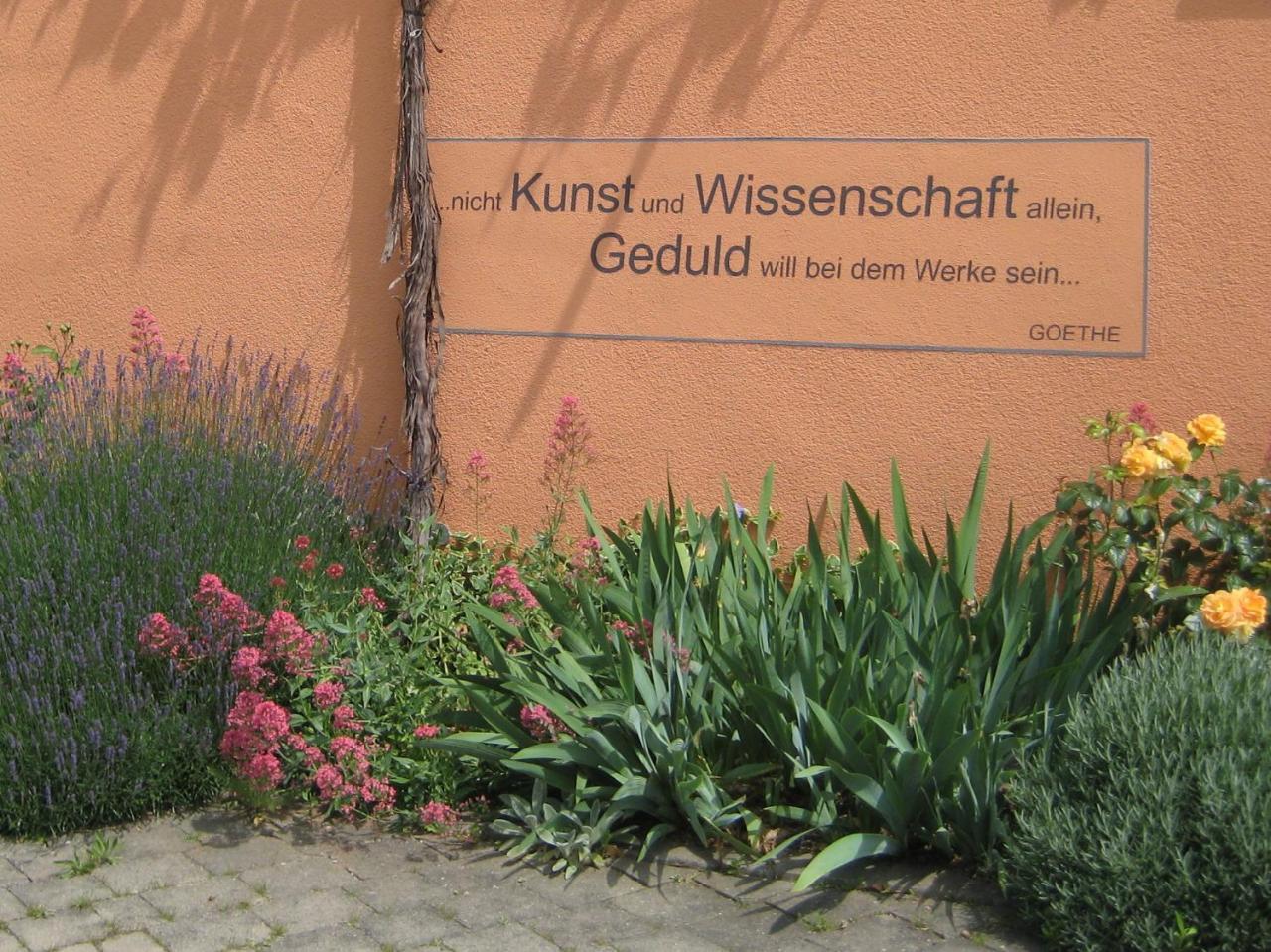Weinhof Am Nussbaum Hotel Willanzheim Exterior photo