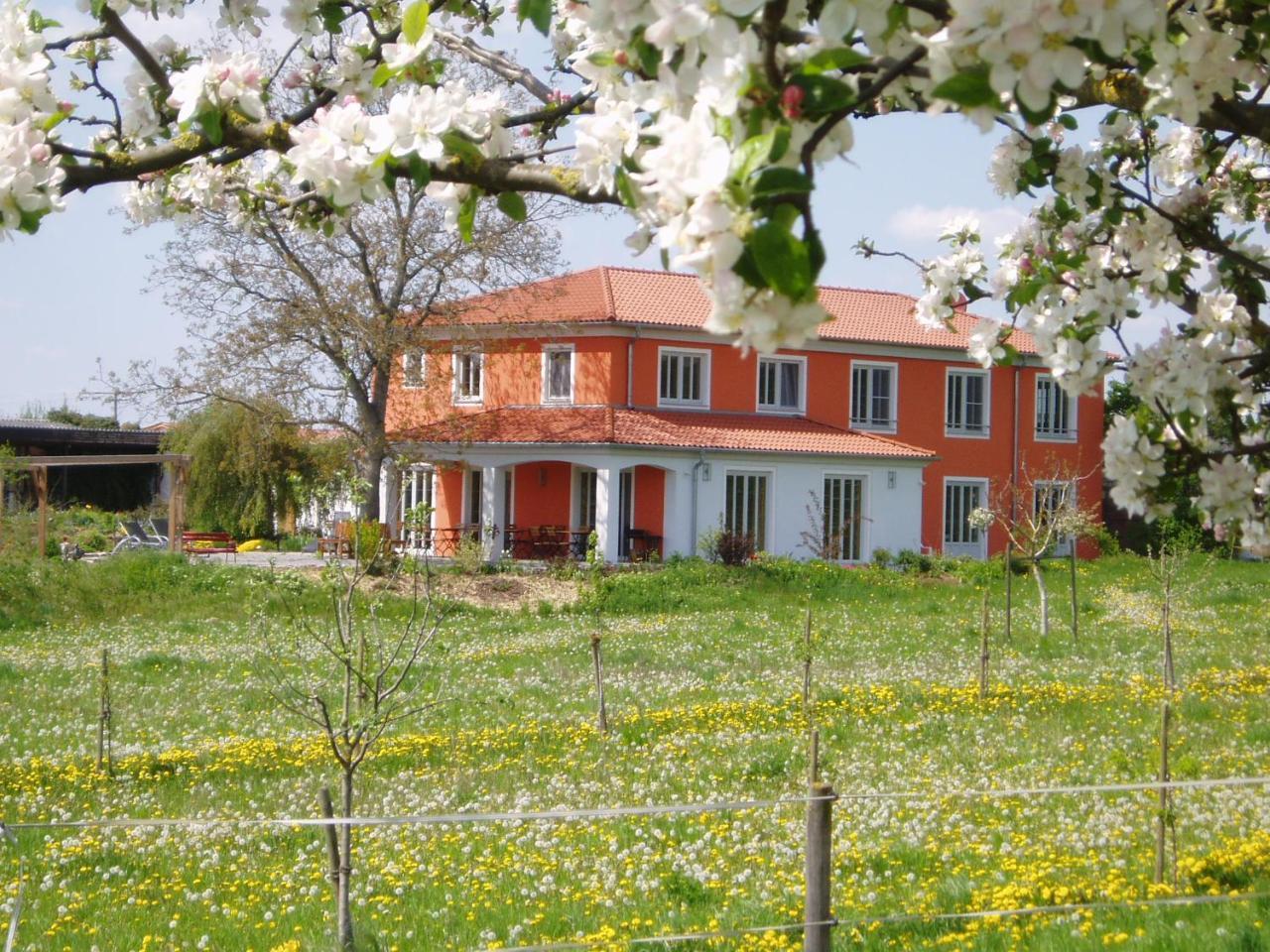 Weinhof Am Nussbaum Hotel Willanzheim Exterior photo